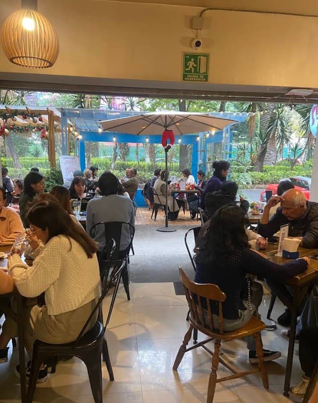 Los Mejores Restaurantes Veganos en CDMX: Guía Actualizada