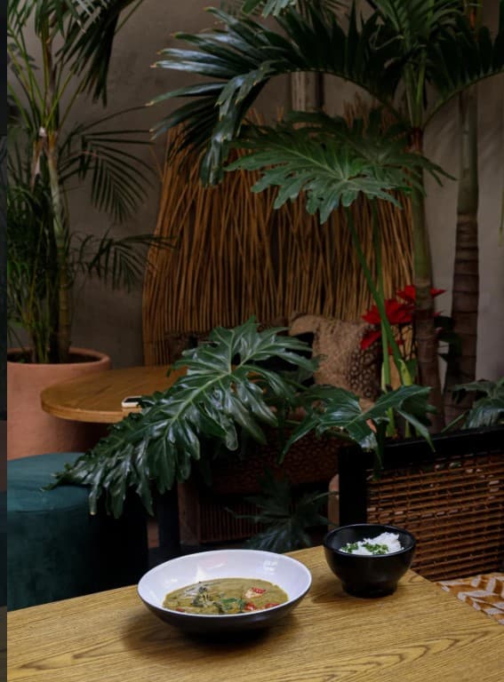 Los Mejores Restaurantes Veganos en CDMX: Guía Actualizada