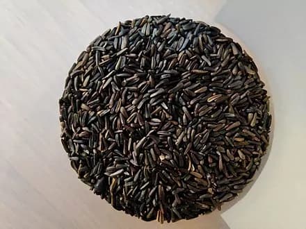 Semilla de Níger: Propiedades y Beneficios